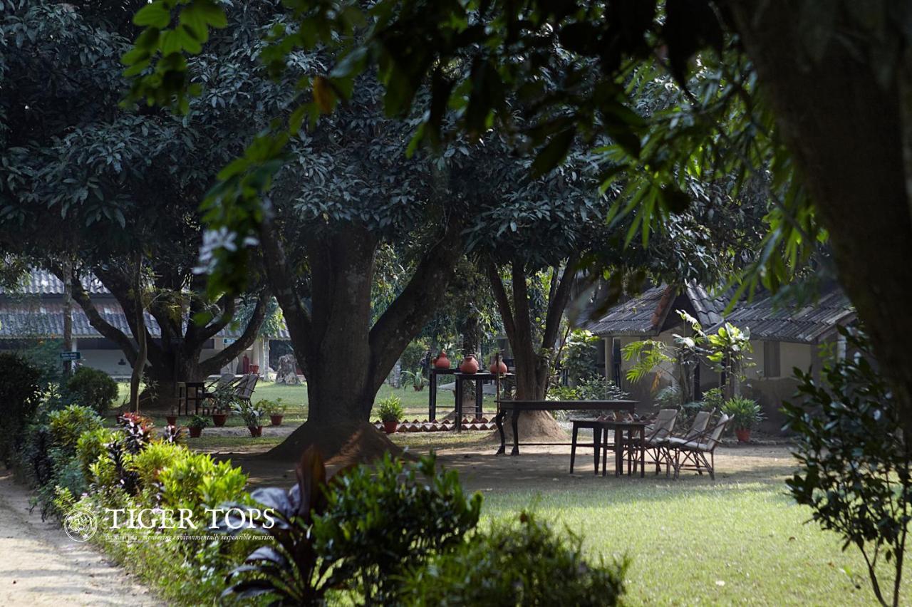 Tiger Tops Tharu Lodge Chitwan Exterior foto