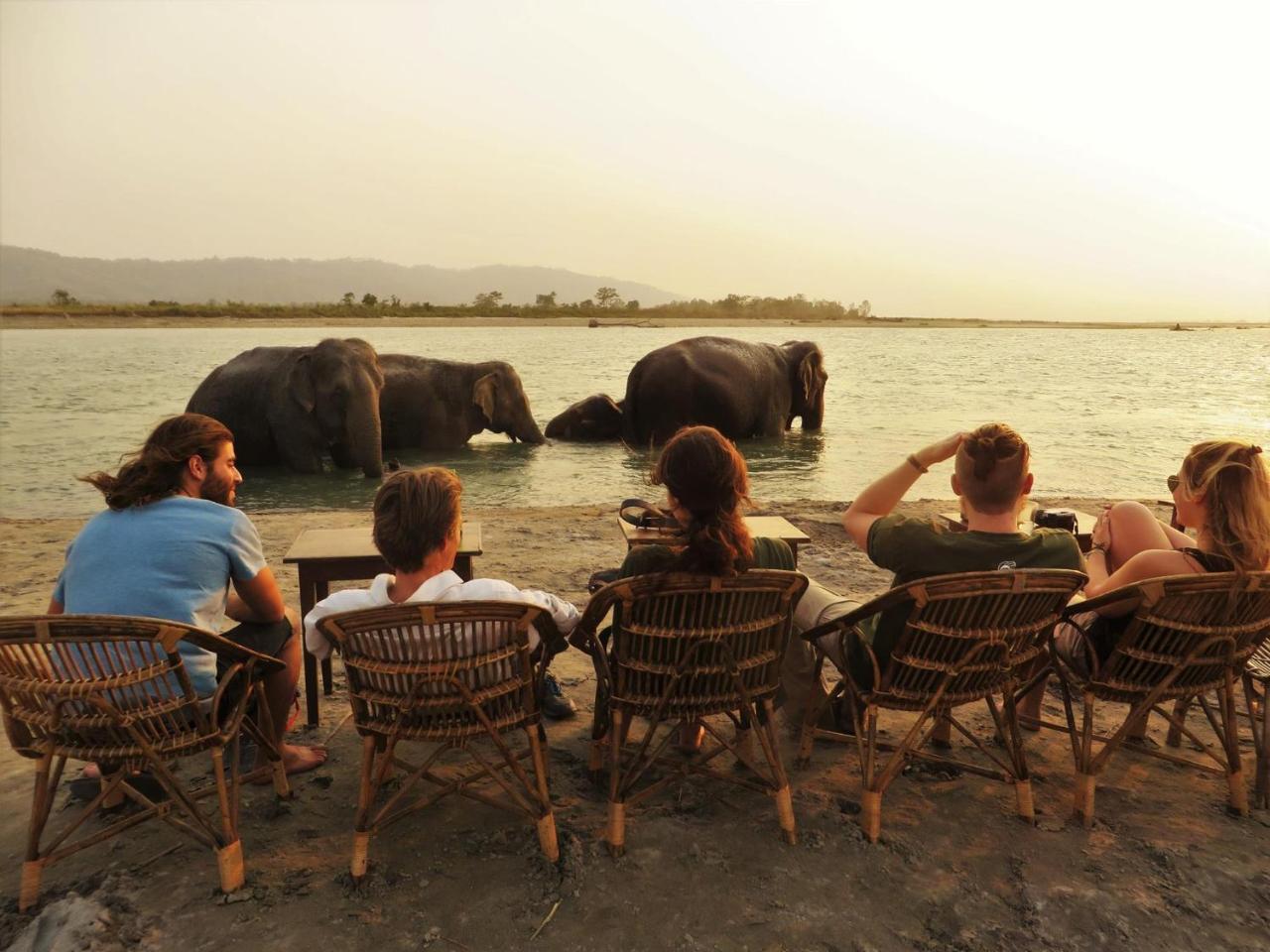 Tiger Tops Tharu Lodge Chitwan Exterior foto